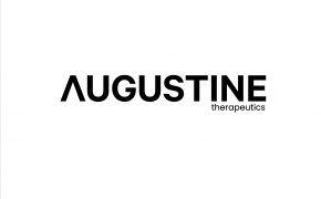 augustine-logo-pmv