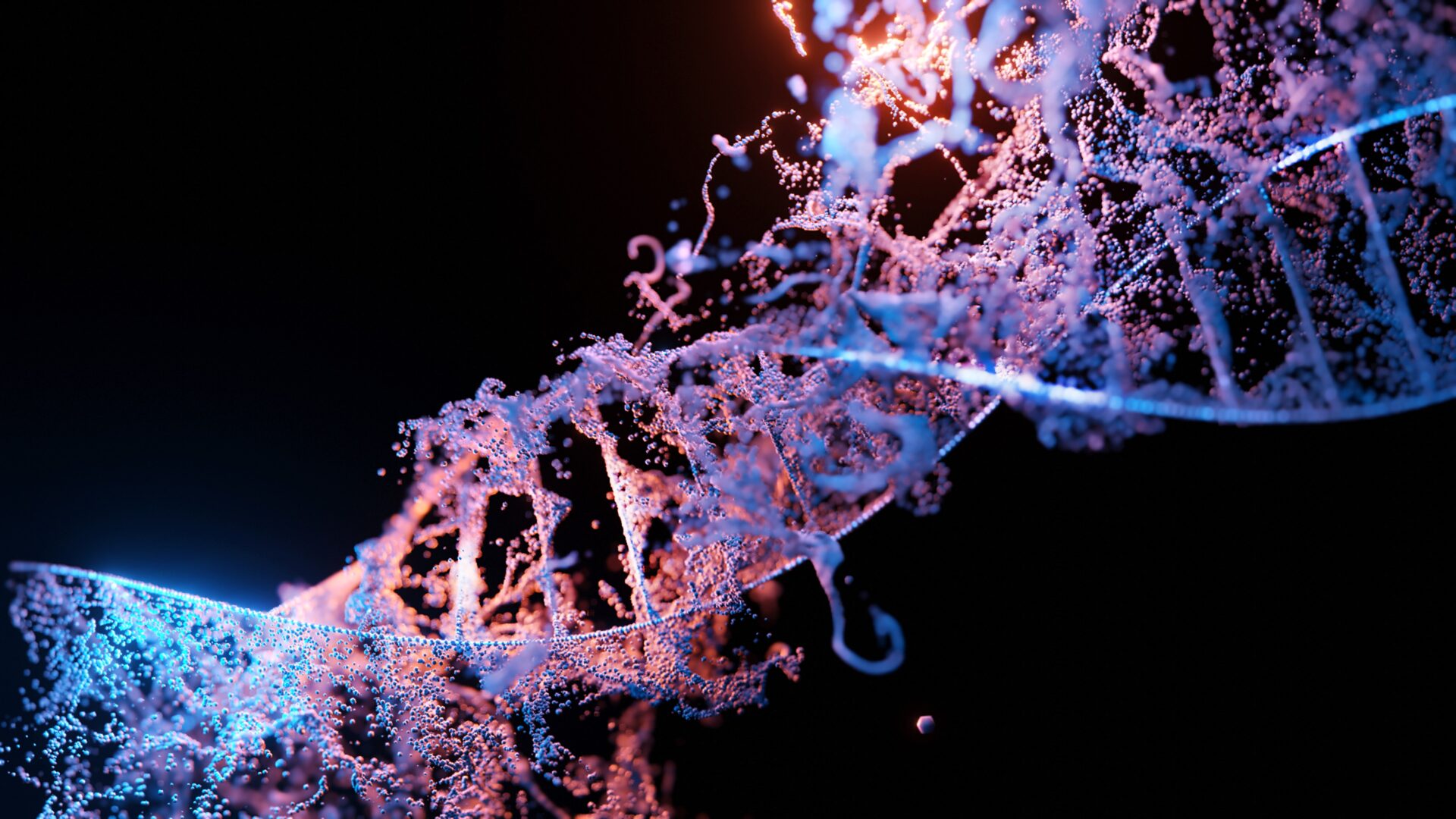 Bluebee DNA